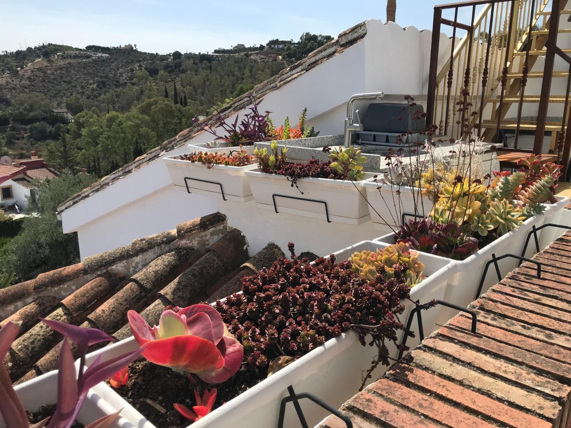 Studio Views Apartment, Cortijo Fruitful Hills مالقة المظهر الخارجي الصورة